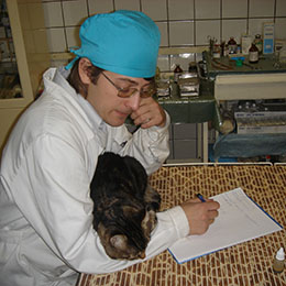 ветеринар Комаров Сергей